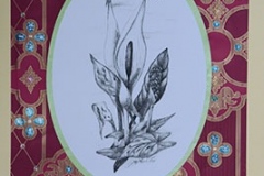Ganzjahreskarten 2015