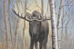 Elmar_vom_Birkenwald_2026_40x50_OaL