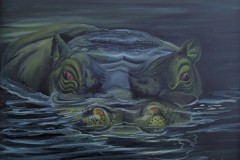 splash_2025_50x60_OaL