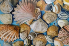 muscheln-coquillages-conchiglie-shells-2020-50x60-OaL