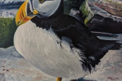 puffin_40x50_Oel-auf-Malkarton